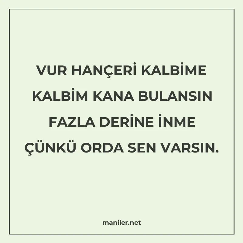 VUR HANÇERİ KALBİME KALBİM KANA BULANSIN FAZLA DERİNE İNME Ç manisi görseli