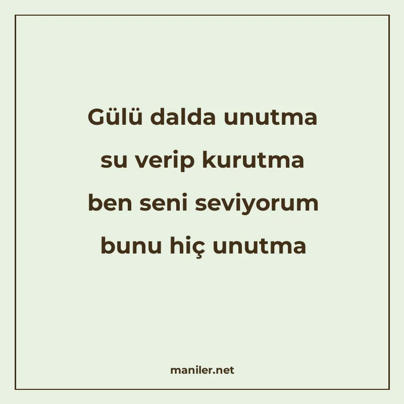 Gülü dalda unutma su verip kurutma ben seni seviyorum bunu h manisi görseli