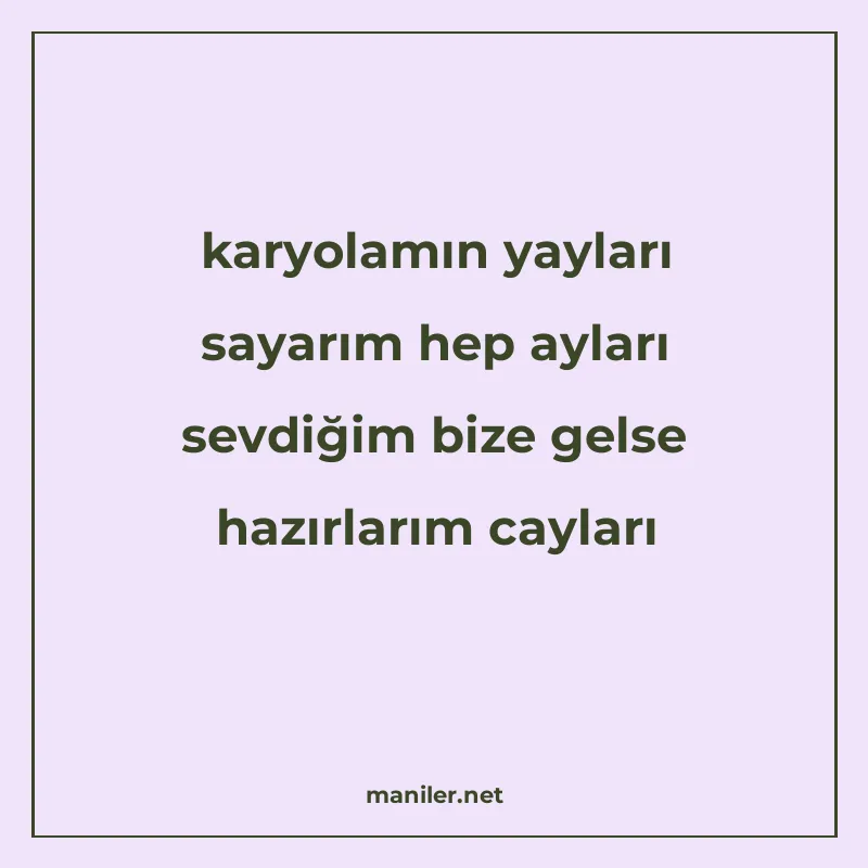 karyolamın yayları sayarım hep ayları sevdiğim bize gelse ha manisi görseli