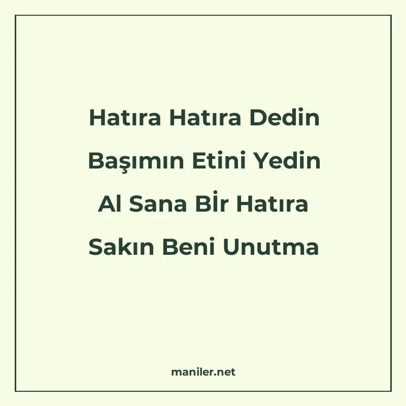 Hatıra Hatıra Dedin Başımın Etini Yedin Al Sana Bİr Hatıra S manisi görseli