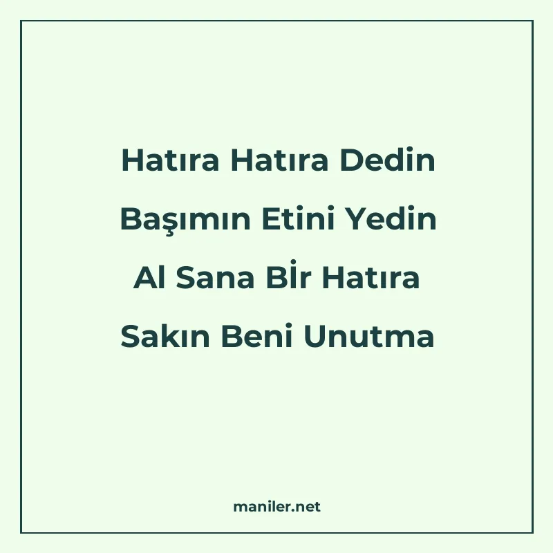 Hatıra Hatıra Dedin Başımın Etini Yedin Al Sana Bİr Hatıra S manisi görseli