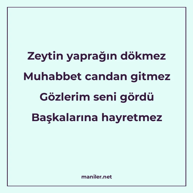 Zeytin yaprağın dökmez Muhabbet candan gitmez Gözlerim seni manisi görseli