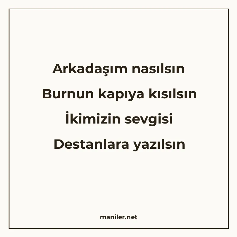 Arkadaşım nasılsın Burnun kapıya kısılsın İkimizin sevgisi D manisi görseli