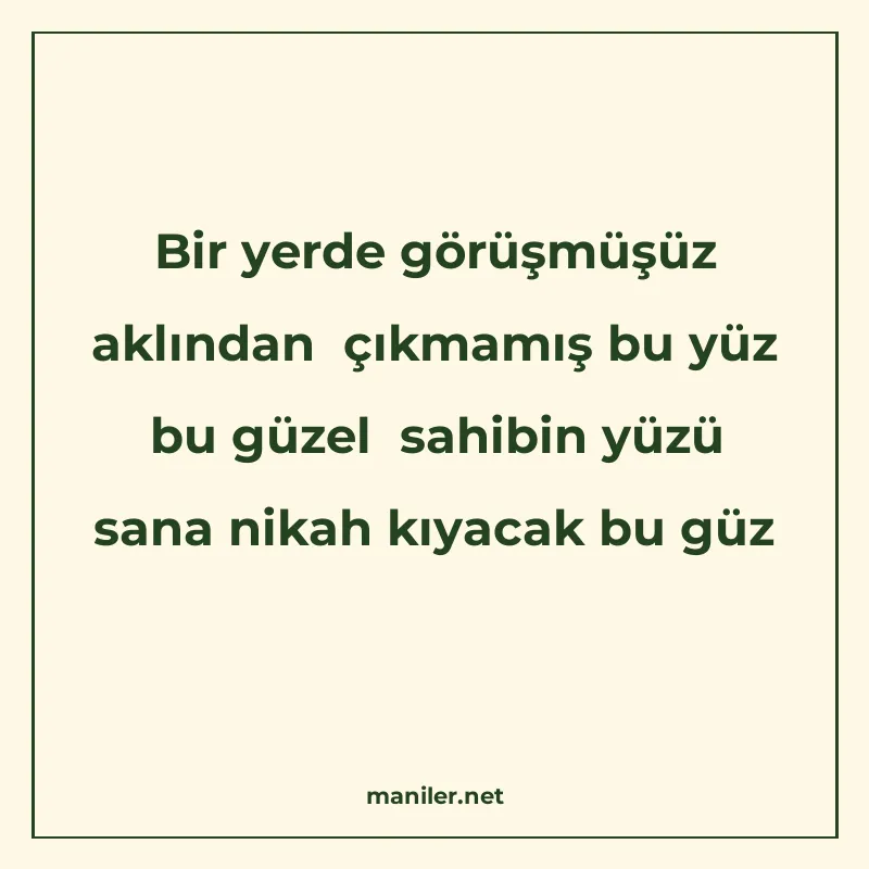 Bir yerde görüşmüşüz aklından çıkmamış bu yüz bu güzel sahib manisi görseli