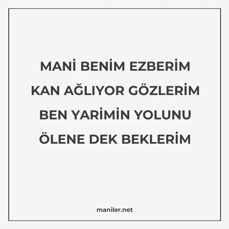 MANİ BENİM EZBERİM KAN AĞLIYOR GÖZLERİM BEN YARİMİN YOLUNU Ö manisi görseli