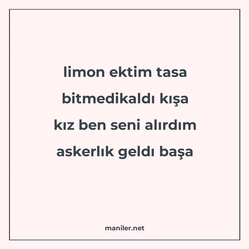 limon ektim tasa bitmedikaldı kışa kız ben seni alırdım aske manisi görseli