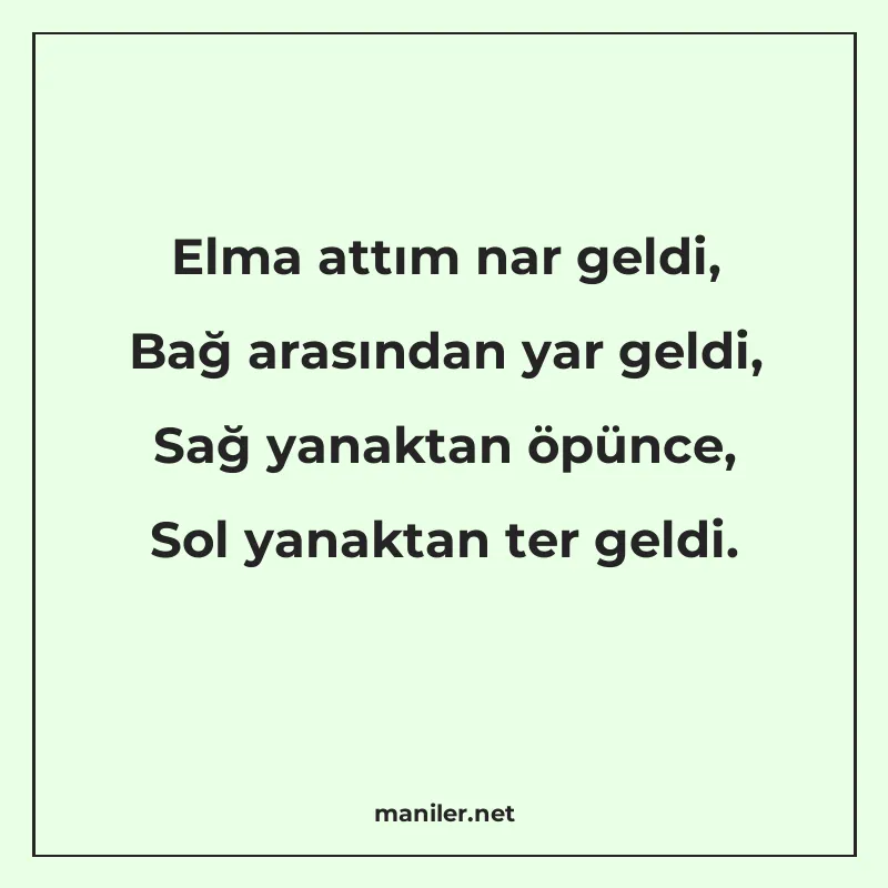 Elma attım nar geldi, Bağ arasından yar geldi, Sağ yanaktan manisi görseli