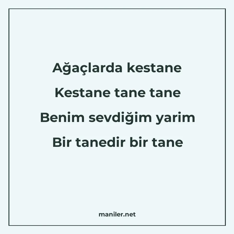 Ağaçlarda kestane Kestane tane tane Benim sevdiğim yarim Bir manisi görseli