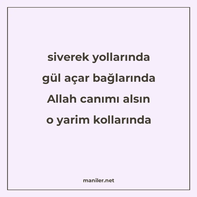 siverek yollarında gül açar bağlarında Allah canımı alsın o manisi görseli