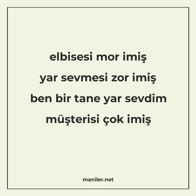 elbisesi mor imiş yar sevmesi zor imiş ben bir tane yar sevd manisi görseli