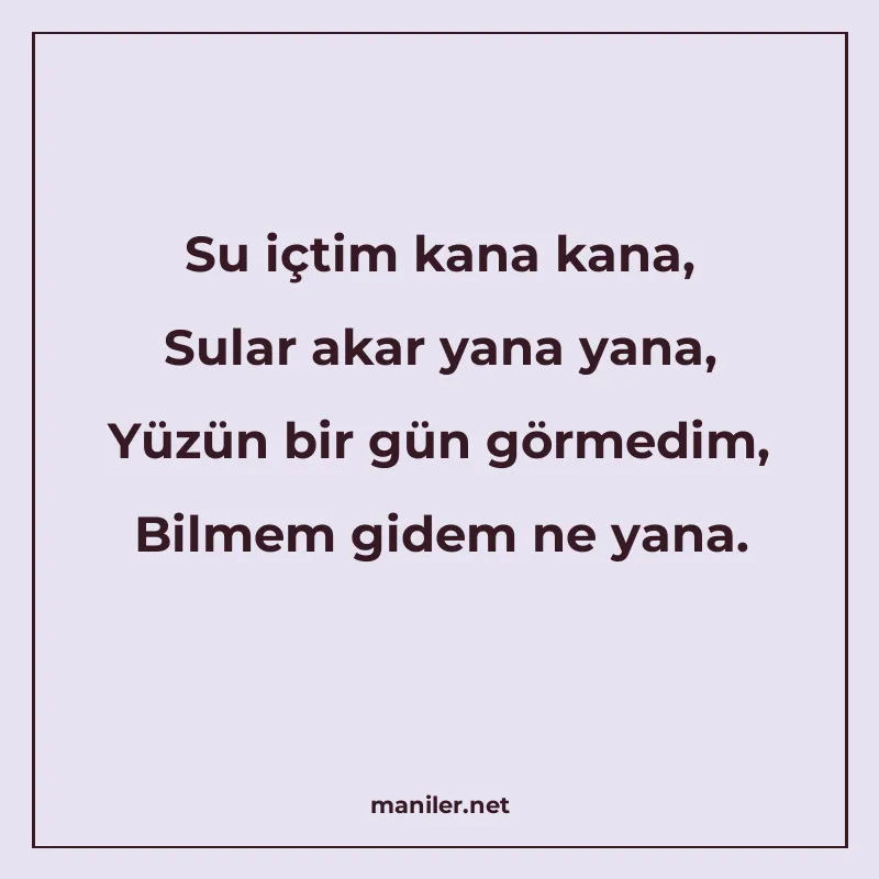 Su içtim kana kana, Sular akar yana yana, Yüzün bir gün görm manisi görseli