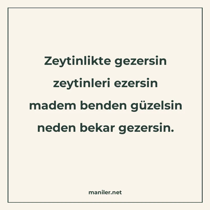Zeytinlikte gezersin zeytinleri ezersin madem benden güzelsi manisi görseli