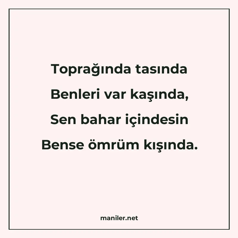 Toprağında tasında Benleri var kaşında, Sen bahar içindesin manisi görseli