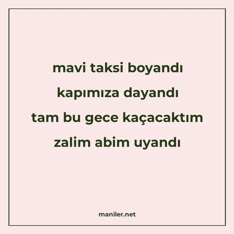 mavi taksi boyandı kapımıza dayandı tam bu gece kaçacaktım z manisi görseli