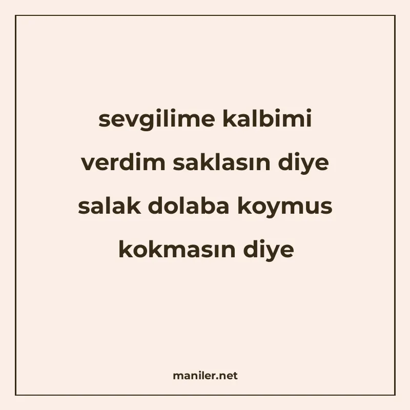 sevgilime kalbimi verdim saklasın diye salak dolaba koymus k manisi görseli