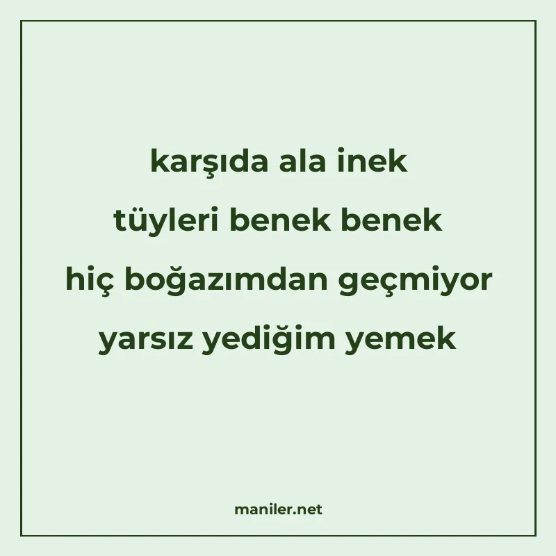 karşıda ala inek tüyleri benek benek hiç boğazımdan geçmiyor manisi görseli