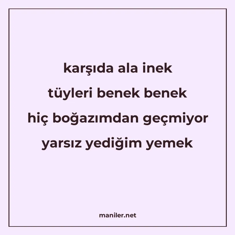 karşıda ala inek tüyleri benek benek hiç boğazımdan geçmiyor manisi görseli