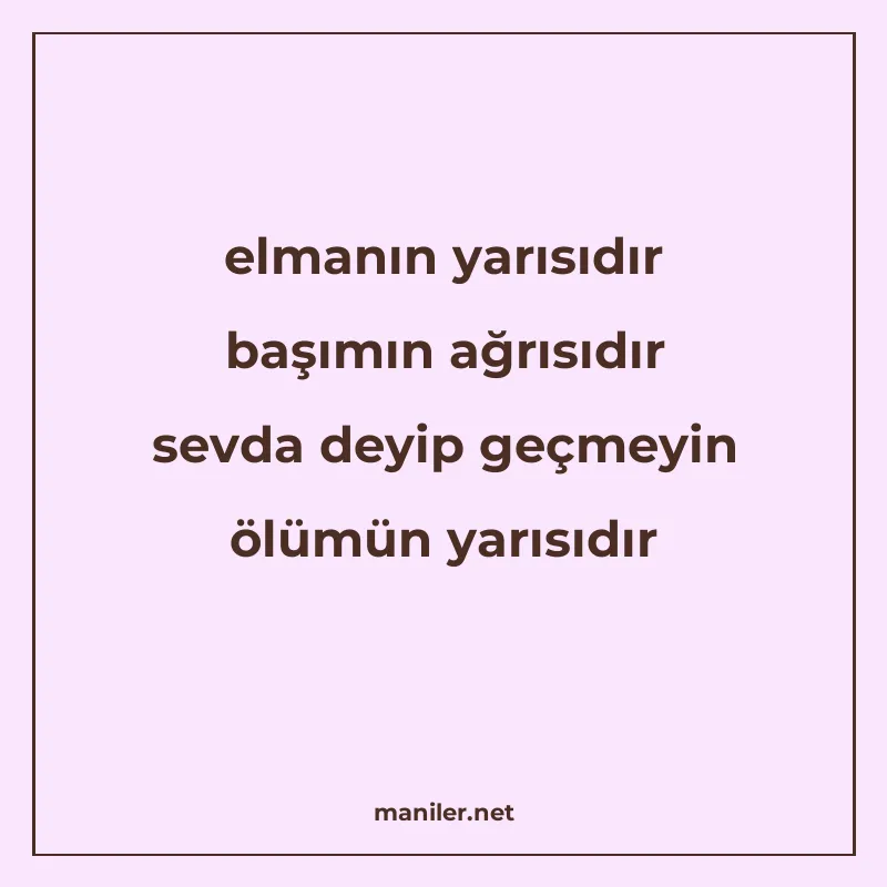 elmanın yarısıdır başımın ağrısıdır sevda deyip geçmeyin ölü manisi görseli