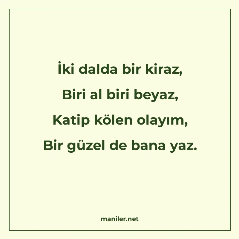 İki dalda bir kiraz, Biri al biri beyaz, Katip kölen olayım manisi görseli