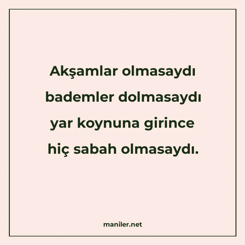 Akşamlar olmasaydı bademler dolmasaydı yar koynuna girince h manisi görseli
