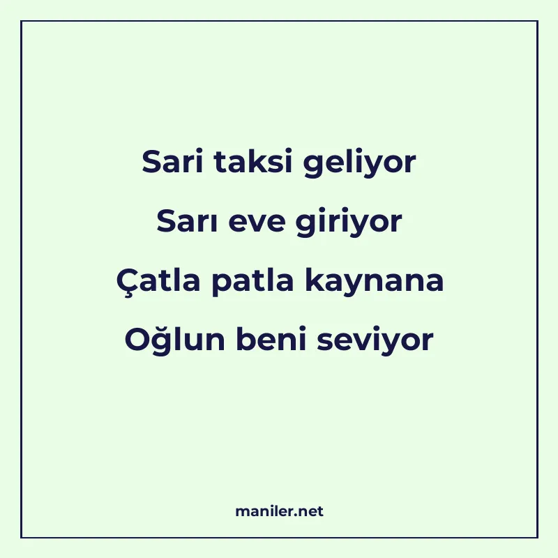 Sari taksi geliyor Sarı eve giriyor Çatla patla kaynana Oğlu manisi görseli
