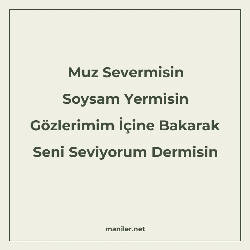 Muz Severmisin Soysam Yermisin Gözlerimim İçine Bakarak Seni manisi görseli