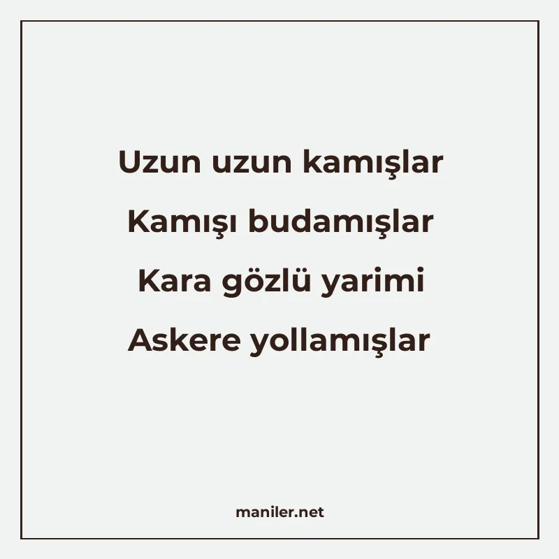Uzun uzun kamışlar Kamışı budamışlar Kara gözlü yarimi Asker manisi görseli