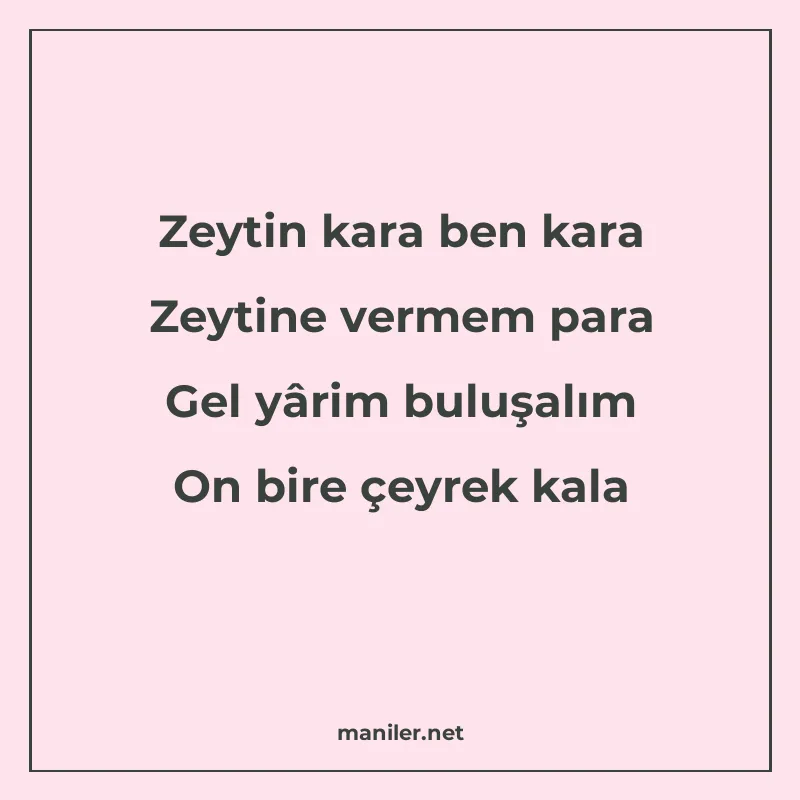 Zeytin kara ben kara Zeytine vermem para Gel yârim buluşalım manisi görseli