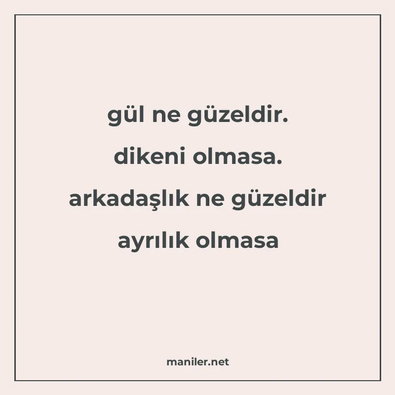 gül ne güzeldir. dikeni olmasa. arkadaşlık ne güzeldir ayrıl manisi görseli