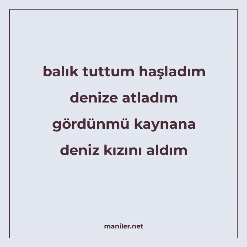 balık tuttum haşladım denize atladım gördünmü kaynana deniz manisi görseli