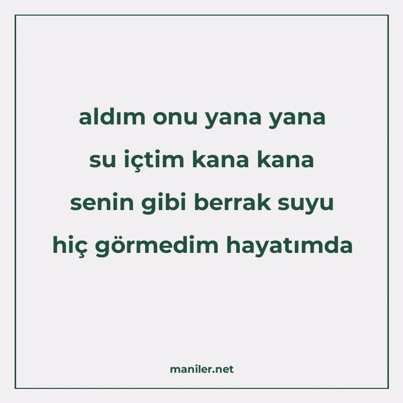 aldım onu yana yana su içtim kana kana senin gibi berrak suy manisi görseli
