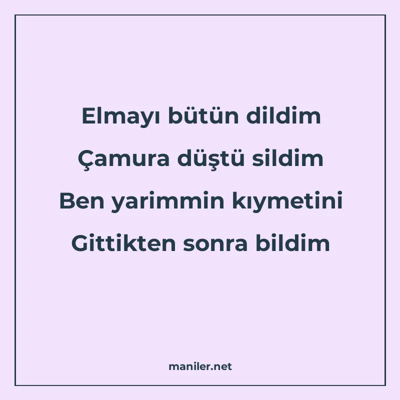 Elmayı bütün dildim Çamura düştü sildim Ben yarimmin kıymeti manisi görseli