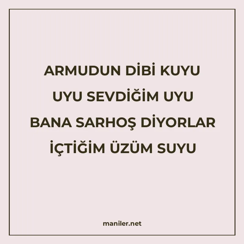 ARMUDUN DİBİ KUYU UYU SEVDİĞİM UYU BANA SARHOŞ DİYORLAR İÇTİ manisi görseli