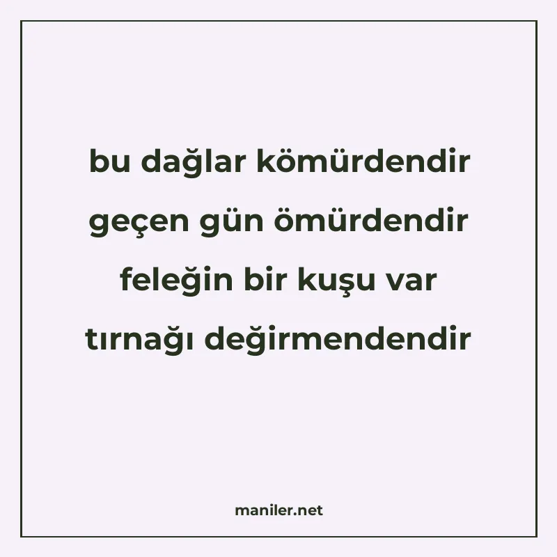 bu dağlar kömürdendir geçen gün ömürdendir feleğin bir kuşu manisi görseli