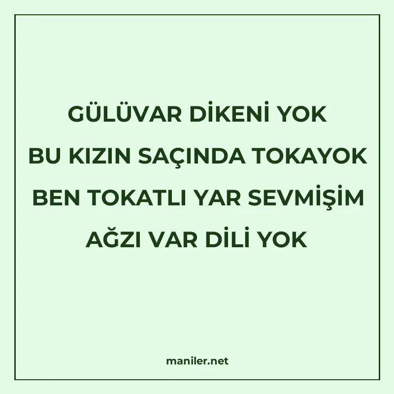 GÜLÜVAR DİKENİ YOK BU KIZIN SAÇINDA TOKAYOK BEN TOKATLI YAR manisi görseli