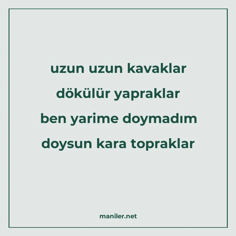 uzun uzun kavaklar dökülür yapraklar ben yarime doymadım doy manisi görseli