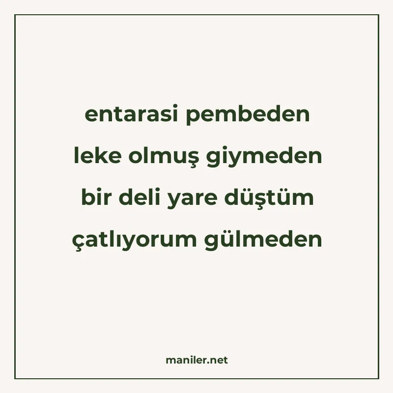entarasi pembeden leke olmuş giymeden bir deli yare düştüm ç manisi görseli