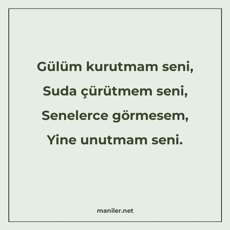 Gülüm kurutmam seni, Suda çürütmem seni, Senelerce görmesem manisi görseli