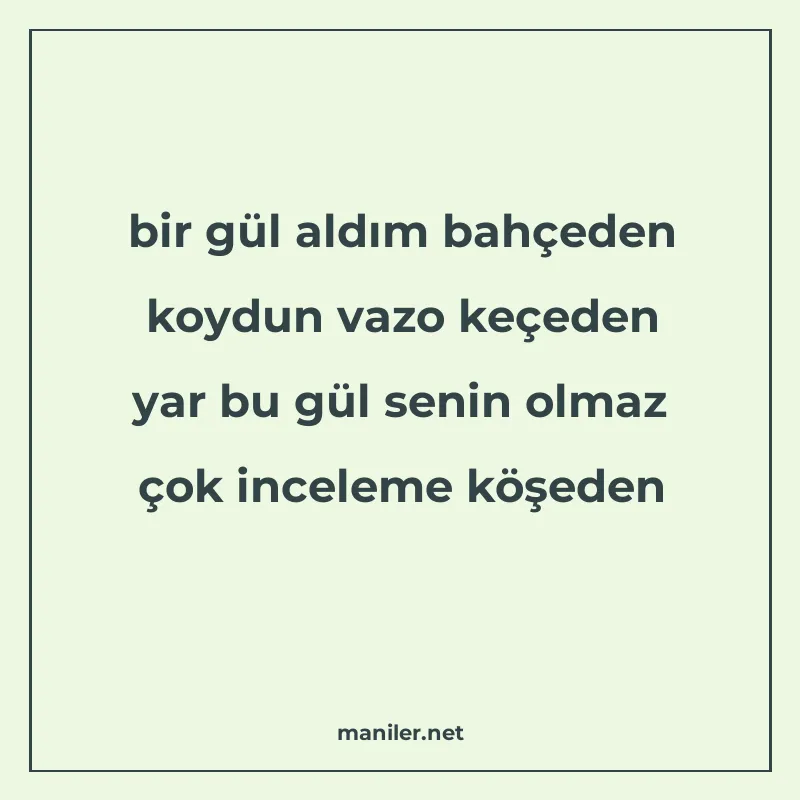 bir gül aldım bahçeden koydun vazo keçeden yar bu gül senin manisi görseli