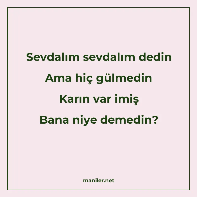 Sevdalım sevdalım dedin Ama hiç gülmedin Karın var imiş Bana manisi görseli