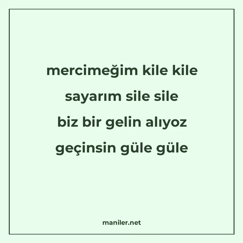 mercimeğim kile kile sayarım sile sile biz bir gelin alıyoz manisi görseli