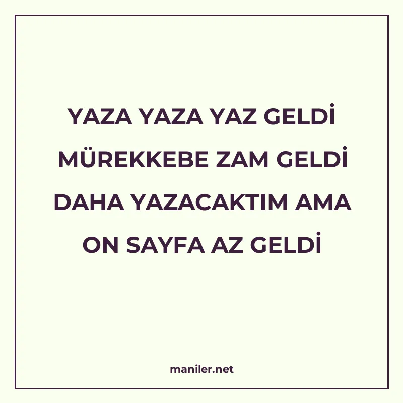 YAZA YAZA YAZ GELDİ MÜREKKEBE ZAM GELDİ DAHA YAZACAKTIM AMA manisi görseli