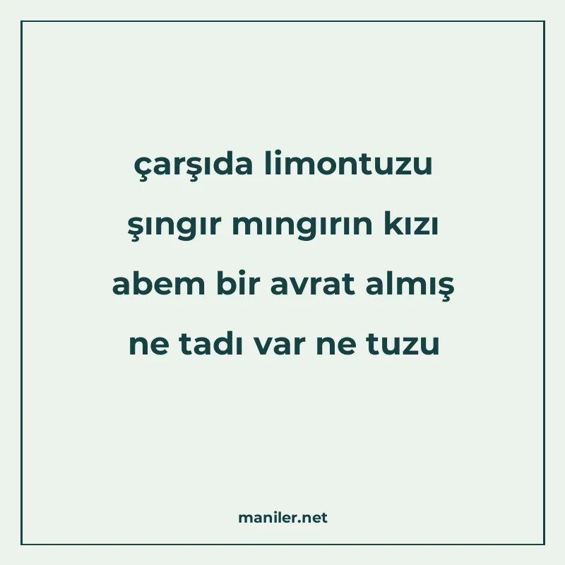 çarşıda limontuzu şıngır mıngırın kızı abem bir avrat almış manisi görseli
