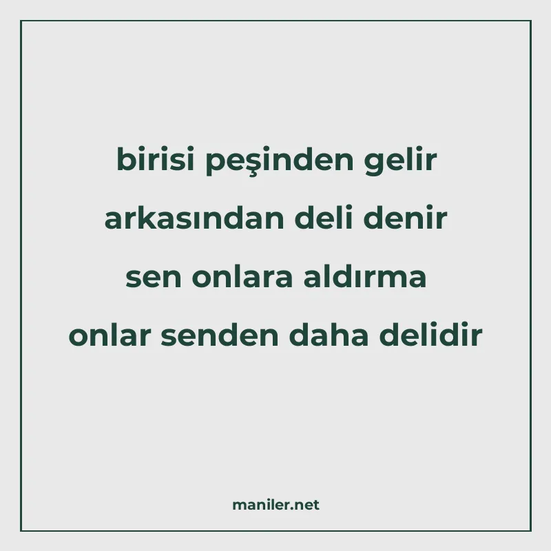 birisi peşinden gelir arkasından deli denir sen onlara aldır manisi görseli