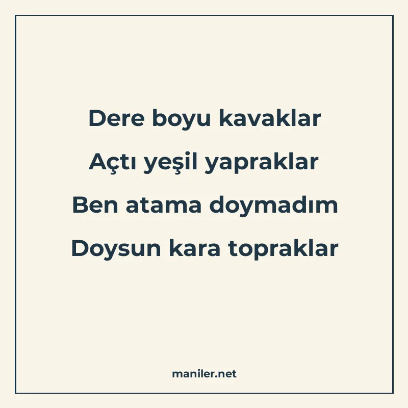 Dere boyu kavaklar Açtı yeşil yapraklar Ben atama doymadım D manisi görseli