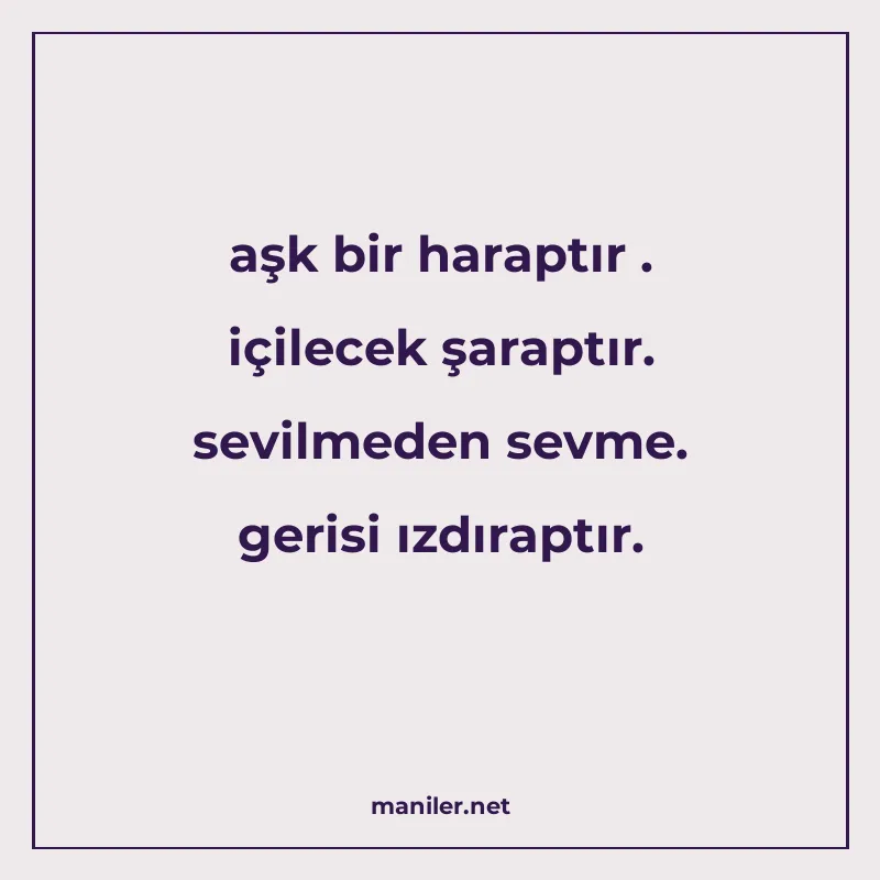 aşk bir haraptır . içilecek şaraptır. sevilmeden sevme. geri manisi görseli