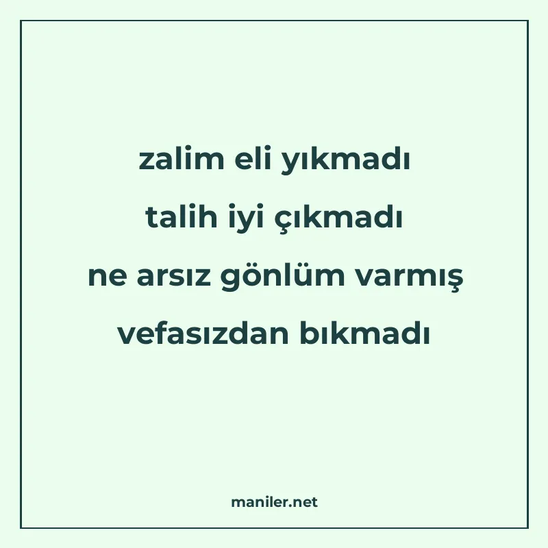 zalim eli yıkmadı talih iyi çıkmadı ne arsız gönlüm varmış v manisi görseli