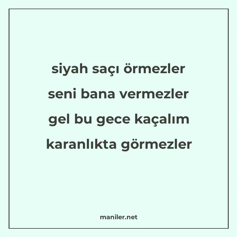 siyah saçı örmezler seni bana vermezler gel bu gece kaçalım manisi görseli