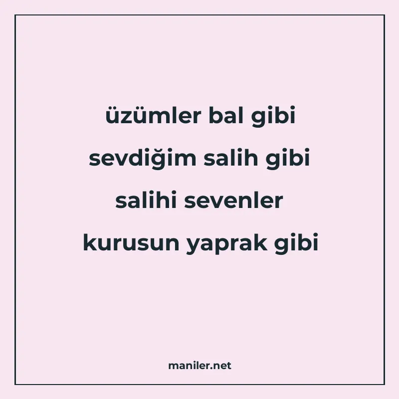 üzümler bal gibi sevdiğim salih gibi salihi sevenler kurusun manisi görseli