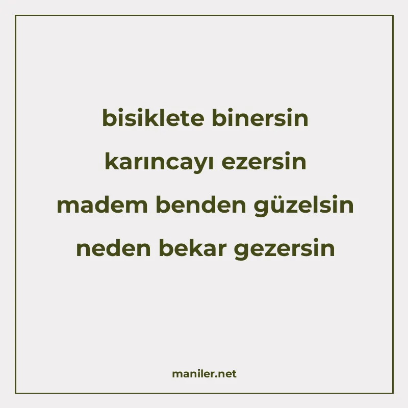 bisiklete binersin karıncayı ezersin madem benden güzelsin n manisi görseli